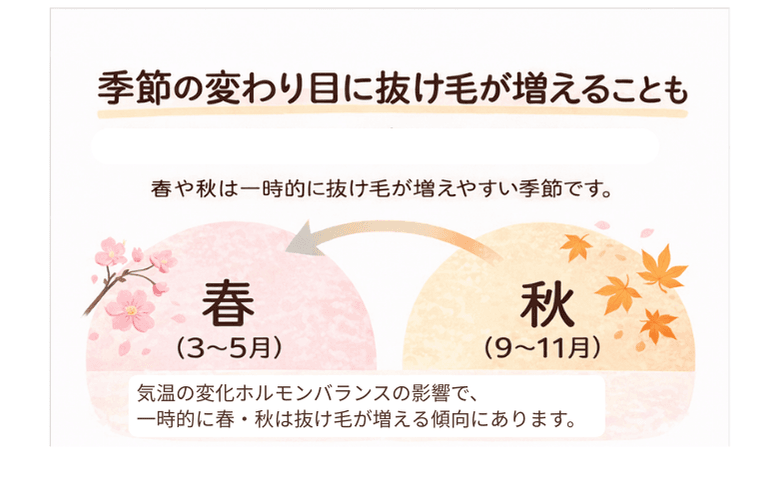 季節の変わり目に抜け毛が増えることも:春(3〜5月)と秋(9〜11月)