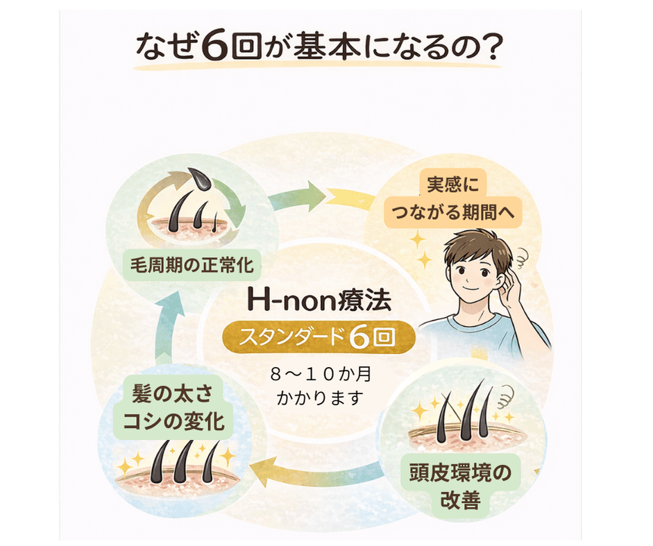 H-non療法スタンダード6回:頭皮環境の改善・髪の太さコシの変化・毛周期の正常化・実感につながる期間へ