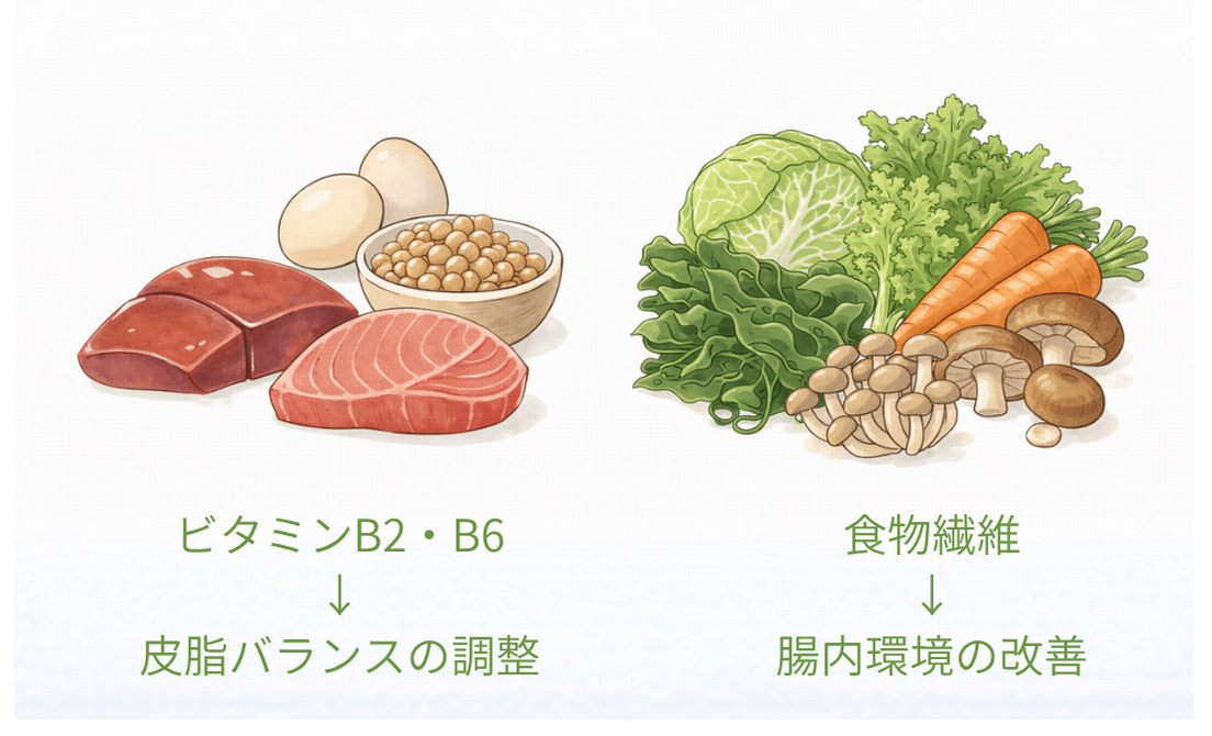 脂性肌タイプにおすすめの栄養素(ビタミンB2・B6・食物繊維)を含む食品のイラスト