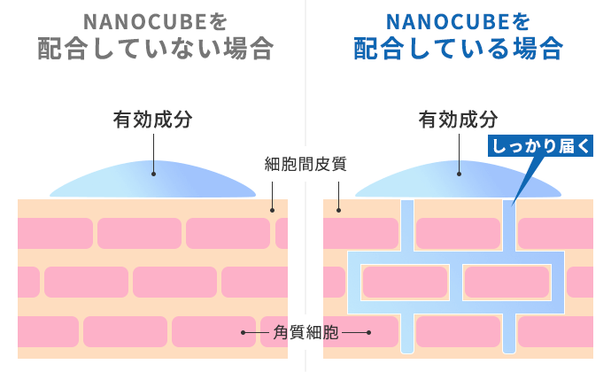 NANOCUBE®(ナノキューブ)